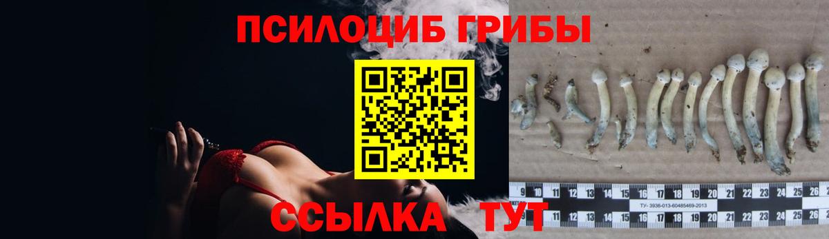Псилоцибиновые грибы прущие грибы  Псилоцибиновые грибы Magic Shrooms  наркотики  Вход с VPN  Мирный 